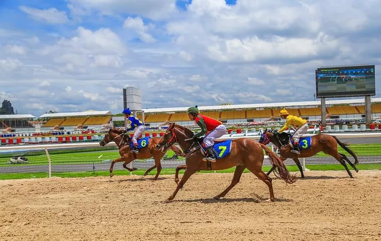 Bỏ Túi Ngay Kinh Nghiệm Cá Cược Đua Ngựa W388 Luôn Thắng