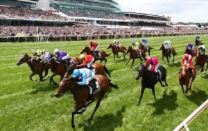 Bỏ Túi Ngay Kinh Nghiệm Cá Cược Đua Ngựa W388 Luôn Thắng