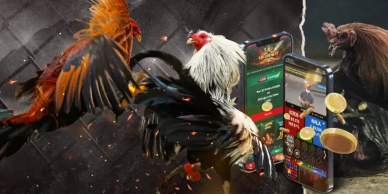 Bí Kíp Chơi Đá Gà GA28 Tại W388 Hiệu Quả Cho Tân Thủ